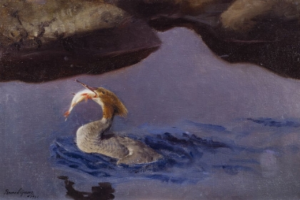 Picture of FEMALE MERGANSER 1901