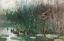 Picture of FLOCK OF DUCKS AND SNEAKY FOX 1881
