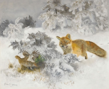 Picture of FOX AND BLACK GROUSE HEN IN WINTER LANDSCAPE 1939