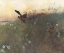 Picture of FOX AND WOODCOCK 1885