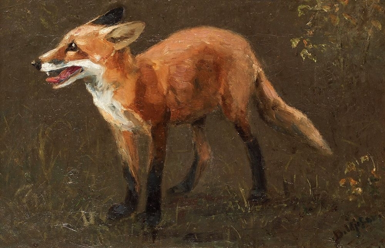 Picture of FOX CA 1880