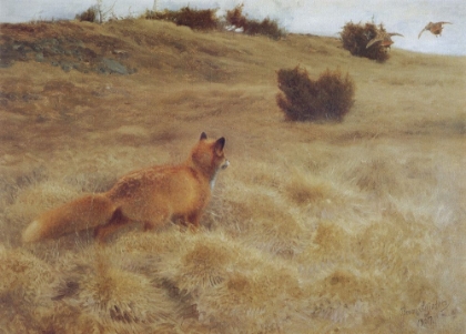 Picture of FOX FLUSHING PARTRIDGES 1907