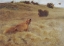 Picture of FOX FLUSHING PARTRIDGES 1907