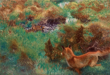 Picture of FOX STALKING WILD DUCKS 1913