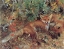 Picture of FOXES 1886