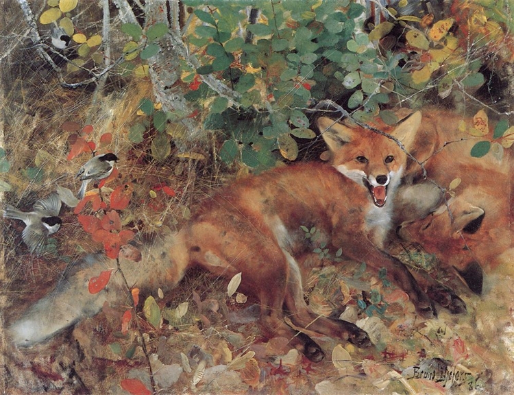 Picture of FOXES 1886