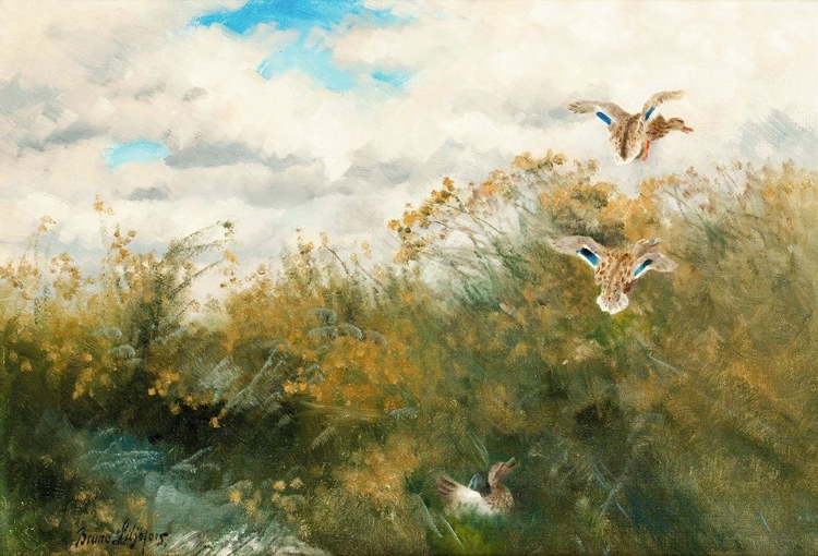 Picture of GRASANDER 1939