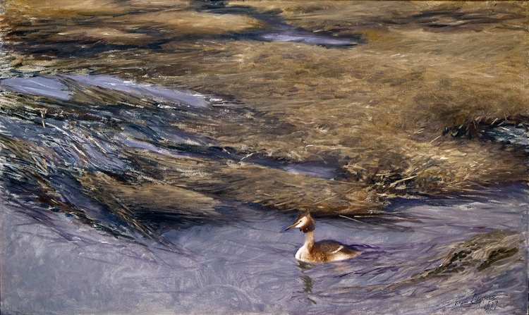 Picture of GREBE 1907