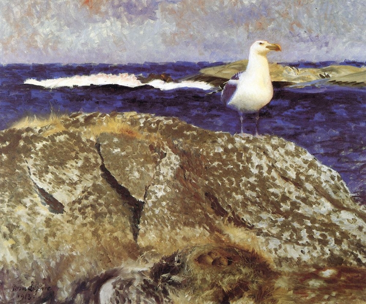 Picture of GULL AT NEST 1913