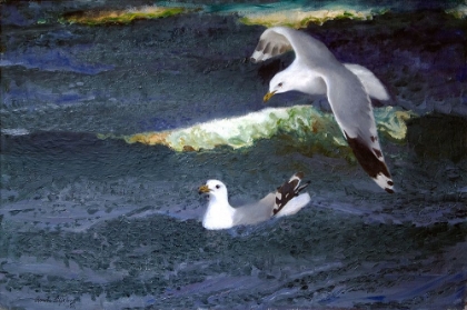Picture of GULLS 1901