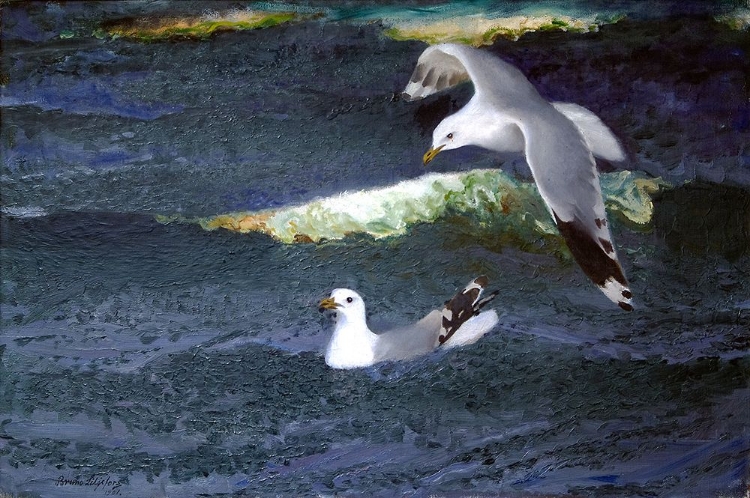 Picture of GULLS 1901