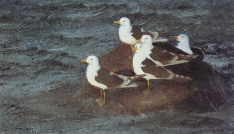 Picture of HERRING GULLS RESTING 1903