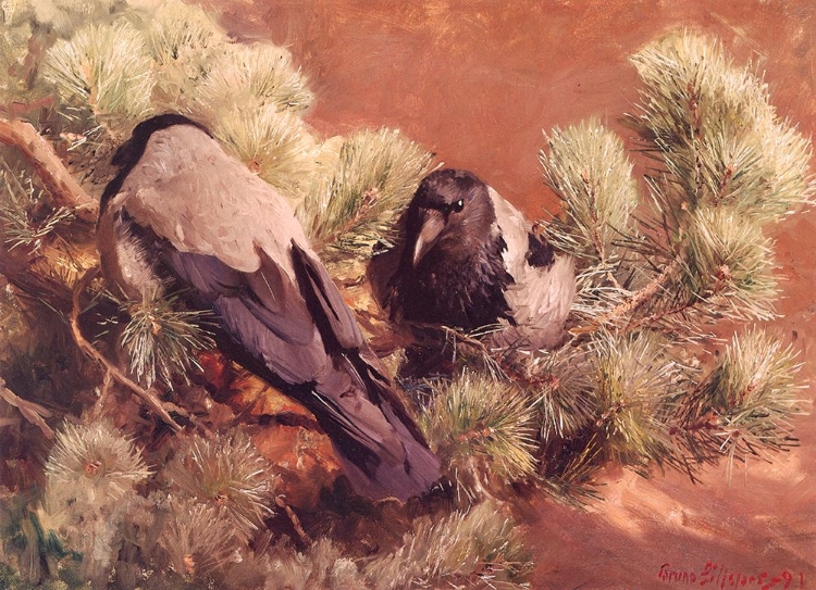 Picture of HOODED CROWS 1891
