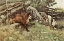 Picture of HUNTER AND FOX 1883