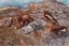 Picture of KING EAGLES WITH A HARE KILL 1912