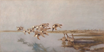 Picture of LANDING GEESE 1906