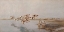 Picture of LANDING GEESE 1906