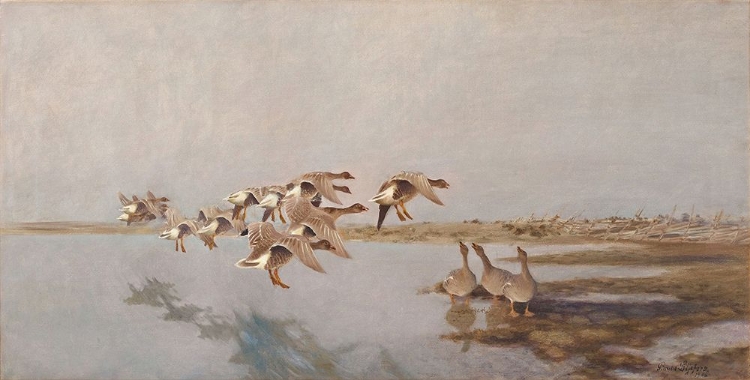 Picture of LANDING GEESE 1906