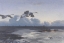 Picture of MUTE SWANS ON EVENING MIGRATION IN 1939