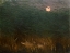 Picture of NOCTURNAL MOOD WITH WILD DUCKS 1901