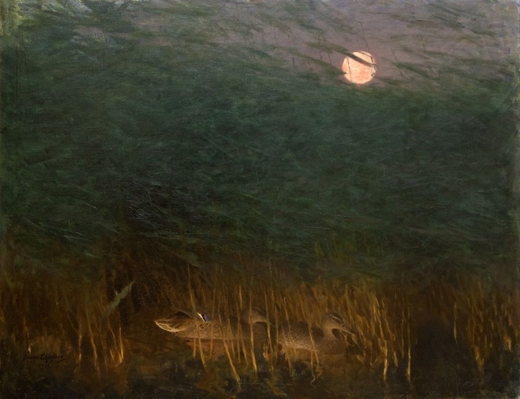 Picture of NOCTURNAL MOOD WITH WILD DUCKS 1901