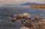 Picture of ROCKY PROMONTORY 1902