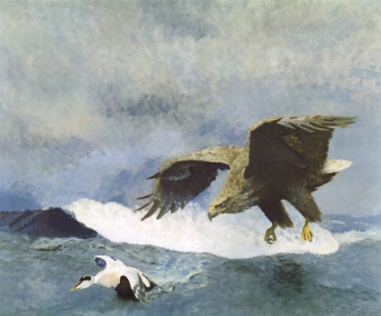 Picture of SEA EAGLE CHASING EIDER 1924