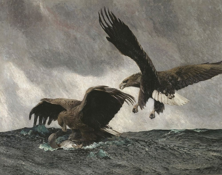 Picture of SEA EAGLES 1897