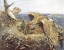 Picture of SEA EAGLES NEST 1907