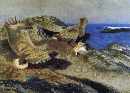 Picture of SEA EAGLES WITH EIDER PREY 1914