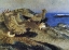 Picture of SEA EAGLES WITH EIDER PREY 1914