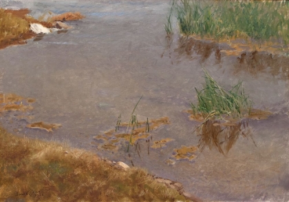 Picture of SHALLOW WATER 1906