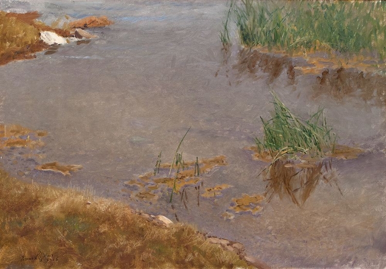 Picture of SHALLOW WATER 1906