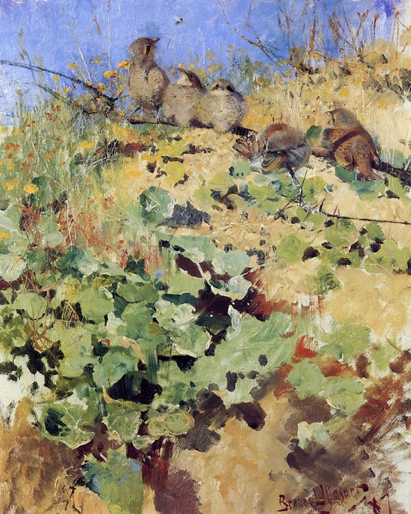 Picture of SHRIKE FLEDGELINGS 1887