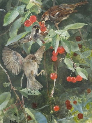 Picture of SPARROWS IN A CHERRY TREE 1885