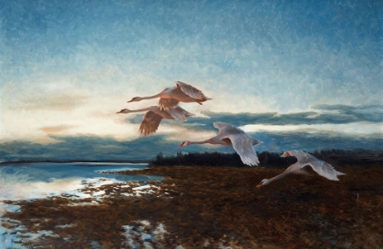 Picture of SWANS 1924