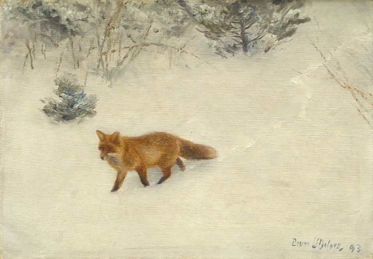Picture of THE FOX 1893