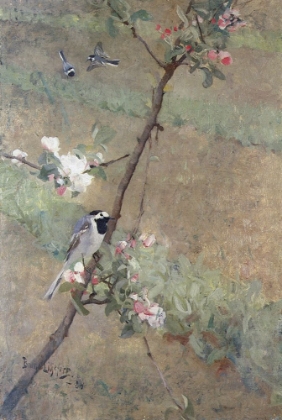 Picture of WAGTAILS 1884