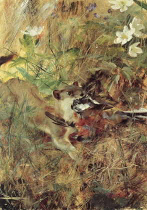 Picture of WEASEL WITH CHAFFINCH 1888