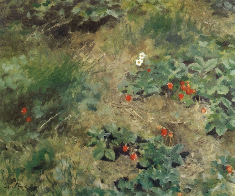 Picture of WILD STRAWBERRIES CA 1900