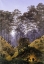 Picture of INSIDE THE FOREST IN THE MOONLIGHT CA 1823