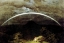 Picture of LANDSCAPE WITH LUNAR RAINBOW 1810