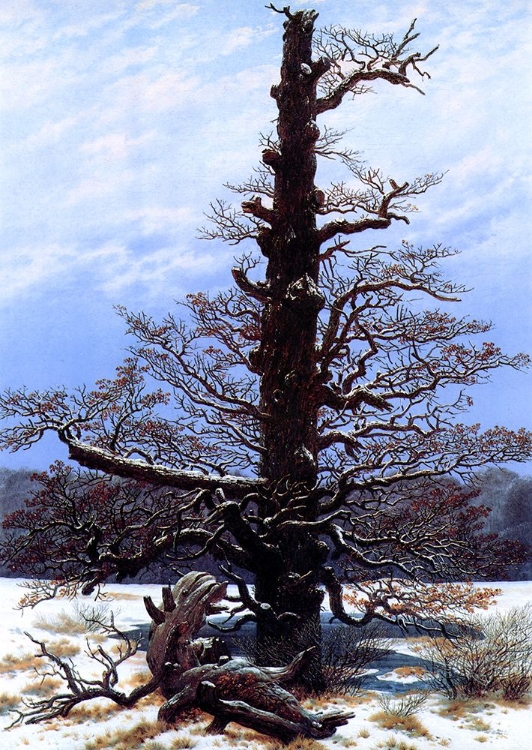 Picture of OAK TREE IN THE SNOW 1829