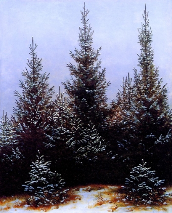 Picture of PINE THICKET 1828