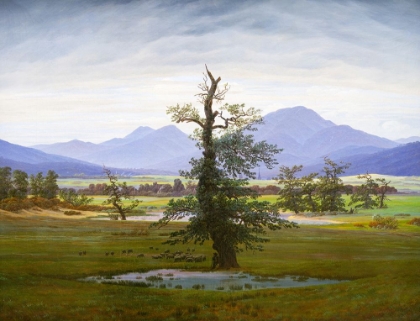 Picture of SOLITARY TREE 1822