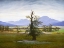 Picture of SOLITARY TREE 1822