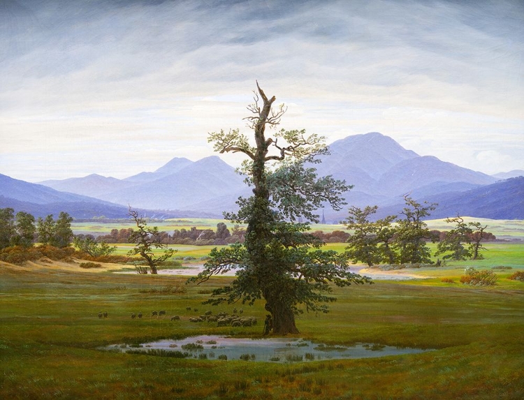 Picture of SOLITARY TREE 1822