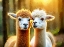 Picture of ALPACA TWINS II