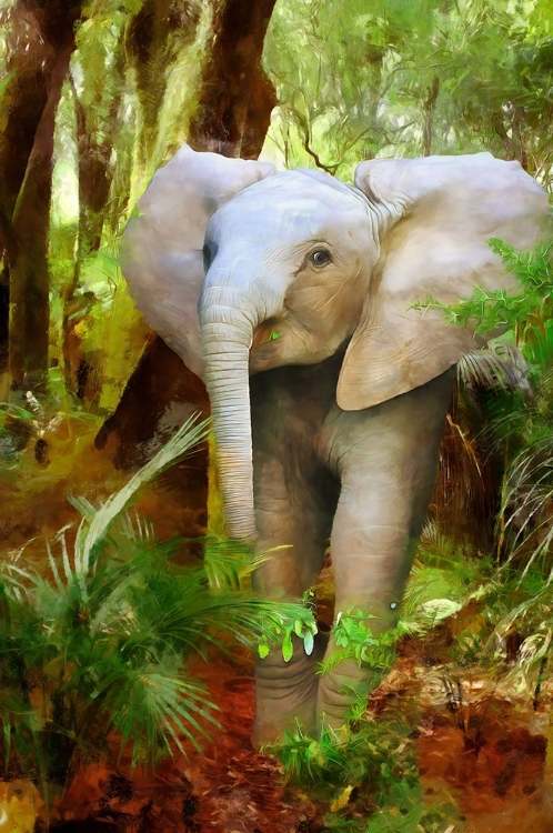 Picture of BABY JUMBO