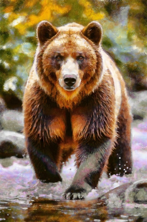 Picture of BEAR ON THE HUNT